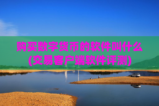 购买数字货币的软件叫什么(交易客户端软件评测)