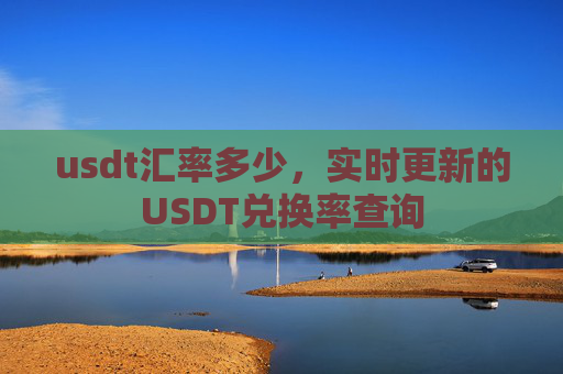 usdt汇率多少,实时更新的USDT兑换率查询