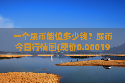 一个屎币能值多少钱?屎币今日行情图(现价0.00019675元)
