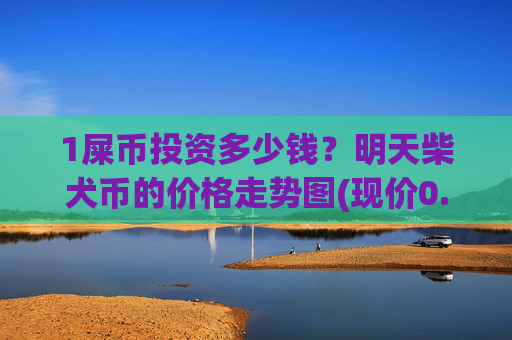 1屎币投资多少钱？明天柴犬币的价格走势图(现价0.00019783元)