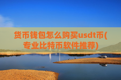 货币钱包怎么购买usdt币(专业比特币软件推荐)