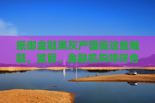 抵御金融黑灰产面临这些难题，监管、金融机构呼吁合力共治