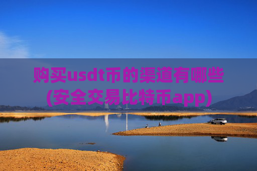 购买usdt币的渠道有哪些(安全交易比特币app)