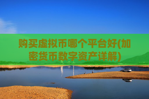 购买虚拟币哪个平台好(加密货币数字资产详解)