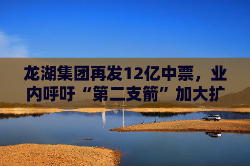 龙湖集团再发12亿中票，业内呼吁“第二支箭”加大扩容