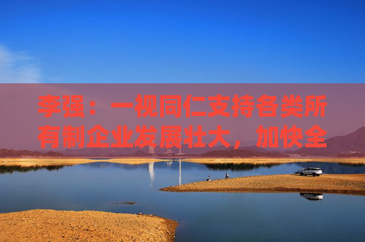 李强：一视同仁支持各类所有制企业发展壮大，加快全国统一大市场建设