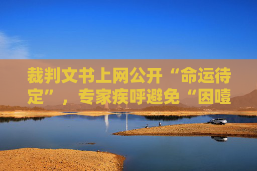 裁判文书上网公开“命运待定”，专家疾呼避免“因噎废食”