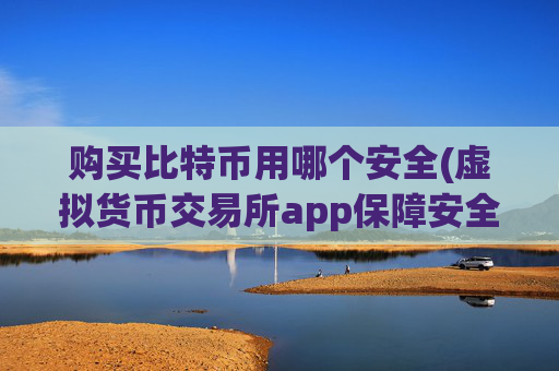 购买比特币用哪个安全(虚拟货币交易所app保障安全)