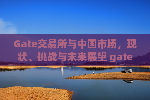 Gate交易所与中国市场，现状、挑战与未来展望 gate交易所中国