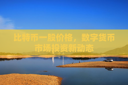 比特币一股价格,数字货币市场投资新动态