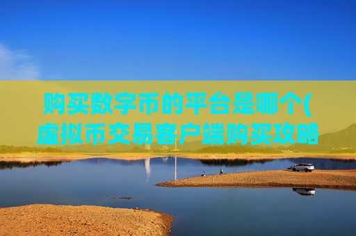 购买数字币的平台是哪个(虚拟币交易客户端购买攻略)