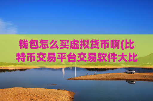 钱包怎么买虚拟货币啊(比特币交易平台交易软件大比拼)