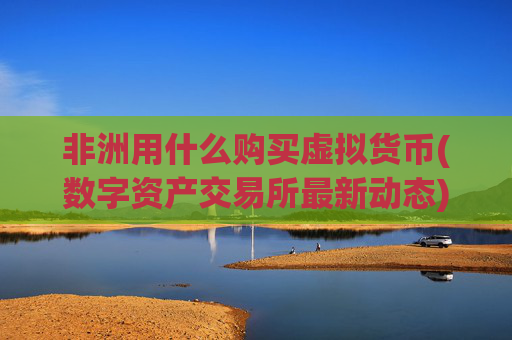 非洲用什么购买虚拟货币(数字资产交易所最新动态)