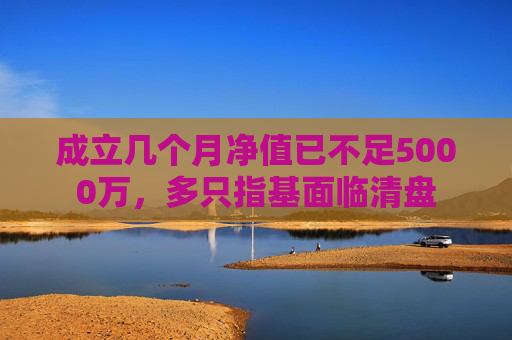 成立几个月净值已不足5000万，多只指基面临清盘
