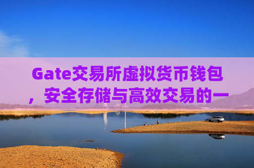 Gate交易所虚拟货币钱包，安全存储与高效交易的一站式解决方案 gate交易所虚拟货币钱包