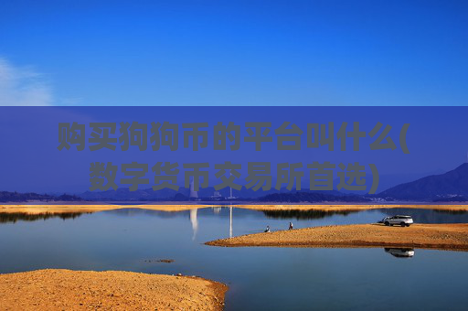 购买狗狗币的平台叫什么(数字货币交易所首选)