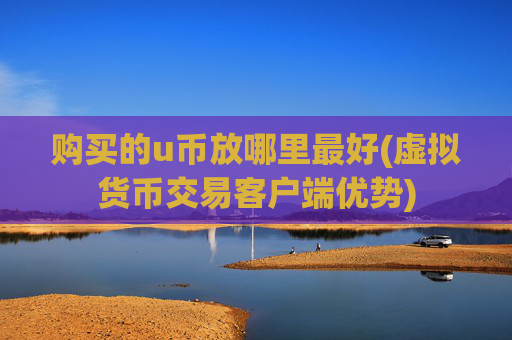 购买的u币放哪里最好(虚拟货币交易客户端优势)