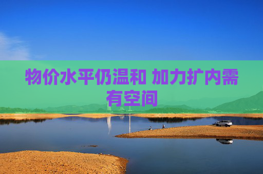 物价水平仍温和 加力扩内需有空间