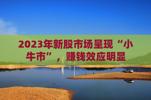 2023年新股市场呈现“小牛市”，赚钱效应明显