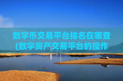 数字币交易平台排名在哪查(数字资产交易平台的操作方法)
