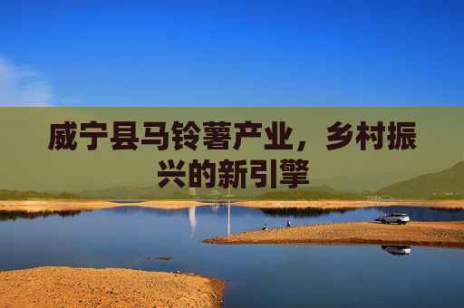 威宁县马铃薯产业，乡村振兴的新引擎