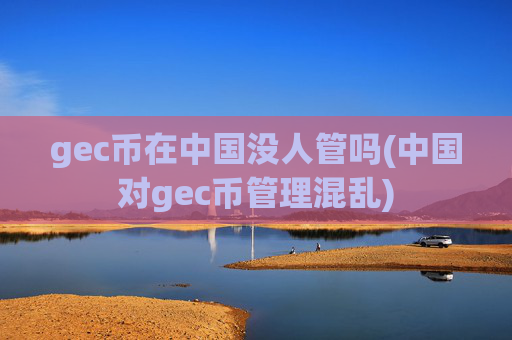 gec币在中国没人管吗(中国对gec币管理混乱)