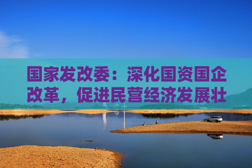 国家发改委：深化国资国企改革，促进民营经济发展壮大