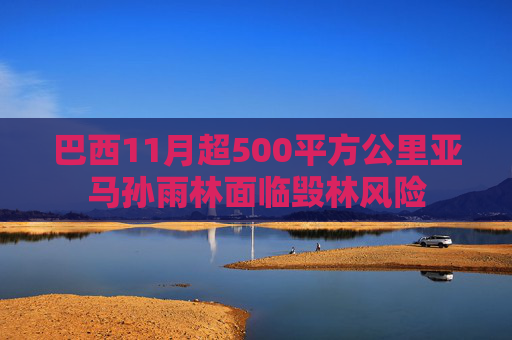 巴西11月超500平方公里亚马孙雨林面临毁林风险
