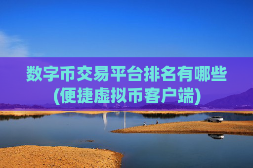 数字币交易平台排名有哪些(便捷虚拟币客户端)
