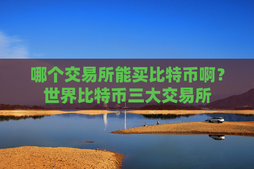 哪个交易所能买比特币啊?世界比特币三大交易所