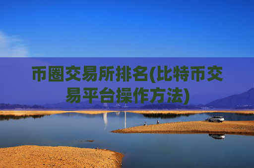 币圈交易所排名(比特币交易平台操作方法)