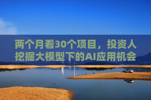 两个月看30个项目，投资人挖掘大模型下的AI应用机会