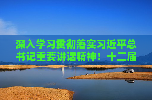 深入学习贯彻落实习近平总书记重要讲话精神！十二届上海市委四次全会通过重磅文件