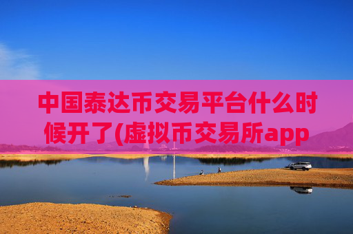 中国泰达币交易平台什么时候开了(虚拟币交易所app实用实惠)