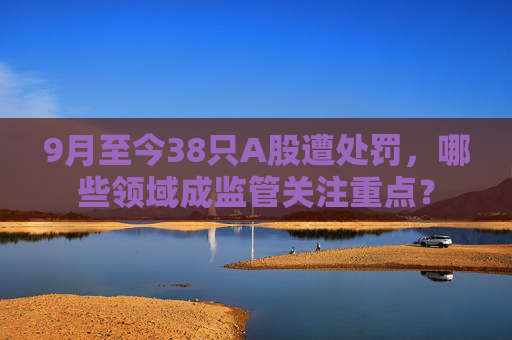 9月至今38只A股遭处罚，哪些领域成监管关注重点？