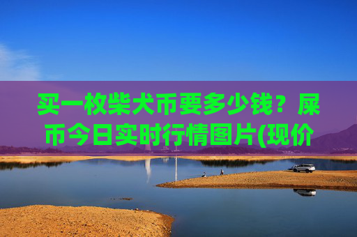 买一枚柴犬币要多少钱?屎币今日实时行情图片(现价0.00019527元)