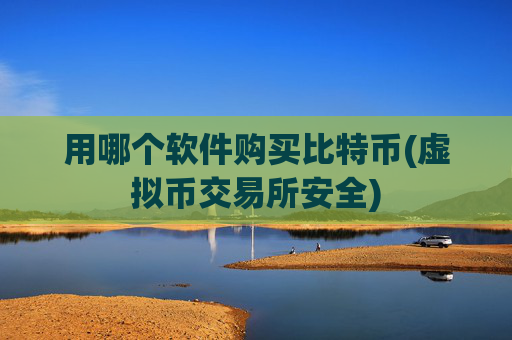 用哪个软件购买比特币(虚拟币交易所安全)