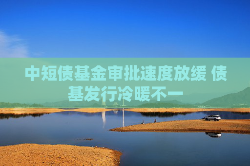 中短债基金审批速度放缓 债基发行冷暖不一