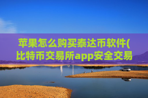 苹果怎么购买泰达币软件(比特币交易所app安全交易)