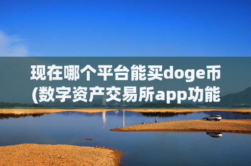 现在哪个平台能买doge币(数字资产交易所app功能全面)