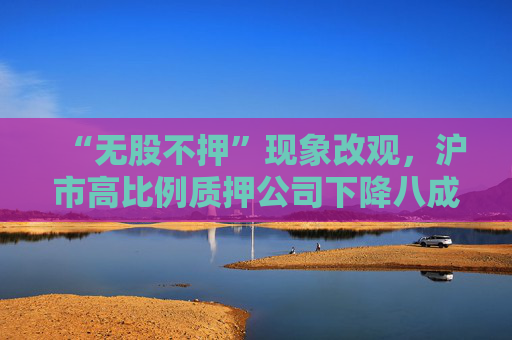 “无股不押”现象改观，沪市高比例质押公司下降八成
