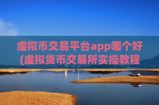 虚拟币交易平台app哪个好(虚拟货币交易所实操教程)