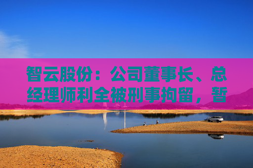 智云股份：公司董事长、总经理师利全被刑事拘留，暂时无法正常履职