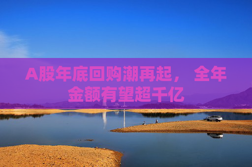 A股年底回购潮再起， 全年金额有望超千亿