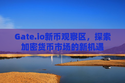 Gate.io新币观察区，探索加密货币市场的新机遇