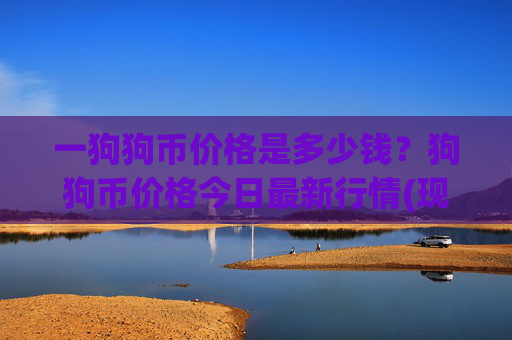 一狗狗币价格是多少钱？狗狗币价格今日最新行情(现价2.8761元)
