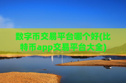 数字币交易平台哪个好(比特币app交易平台大全)