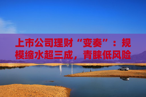 上市公司理财“变奏”：规模缩水超三成，青睐低风险产品