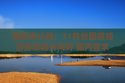 国家统计局：11月份国民经济持续回升向好 国内需求仍显不足