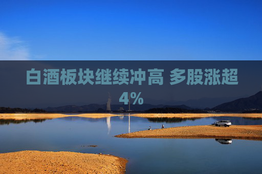 白酒板块继续冲高 多股涨超4%